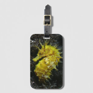 Yellow Seahorse   Hippocampus Guttulatus Luggage Tag