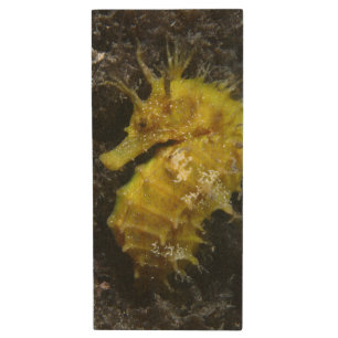Yellow Seahorse Hippocampus Guttulatus Wood Flash Drive