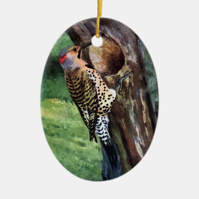 Yellow-shafted Flicker and Tree Cavity Ceramic Ornament (Front)