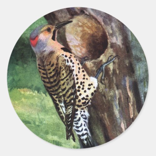Yellow_shafted Flicker and Tree Cavity Classic Round Sticker
