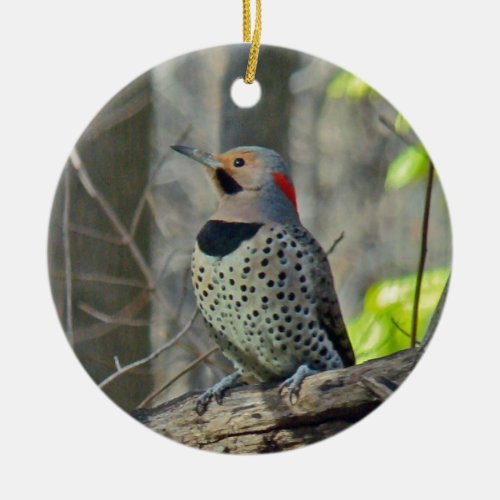 Yellow_Shafted Flicker Merry Christmas Items Ceramic Ornament