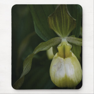 Yellow Slipper 2 Mousepad