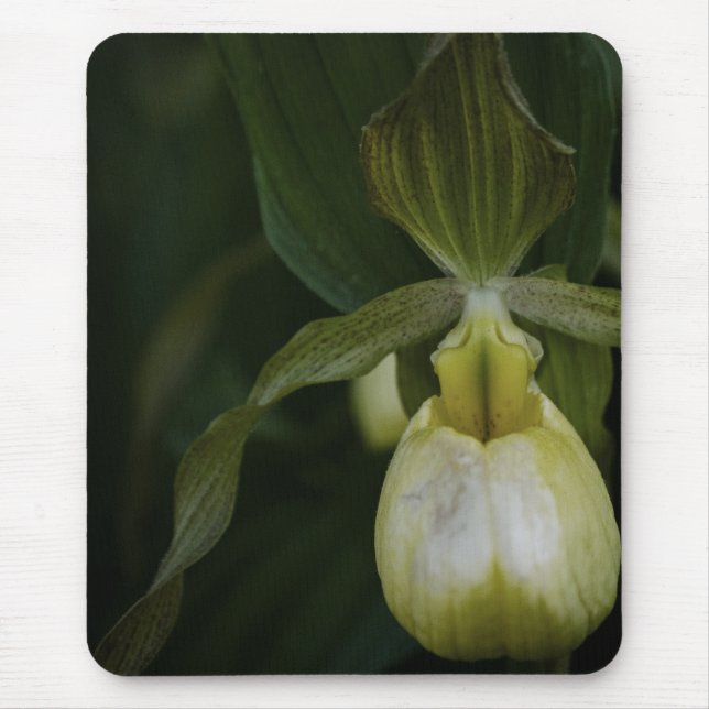 Yellow Slipper 2 Mousepad (Front)