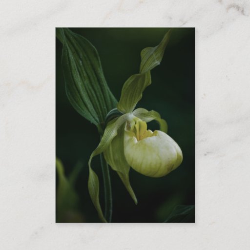 Customizable Yellow Slipper Mini Print Business Card