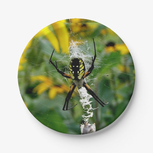 Yellow Spider Paper Plates (Front)