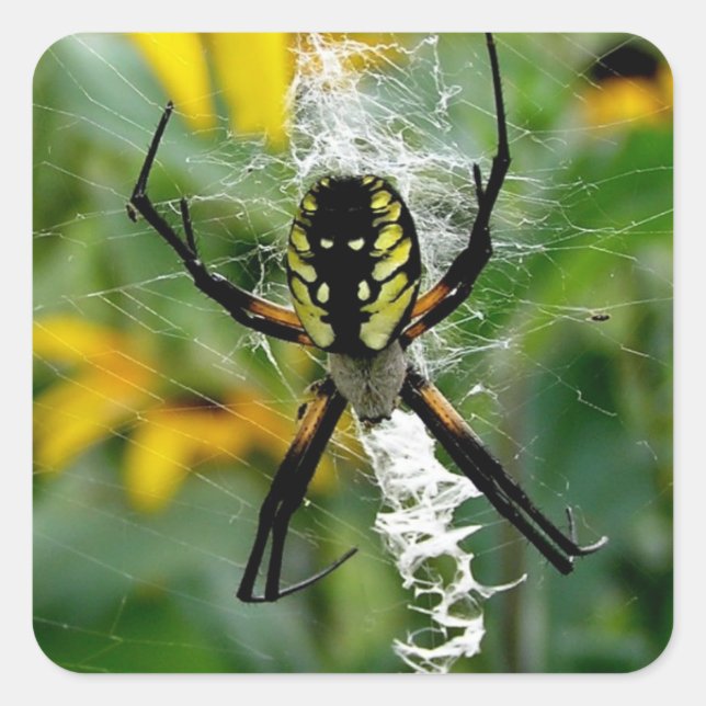 Yellow Spider Square Sticker (Front)