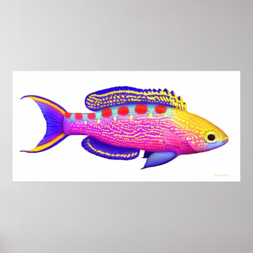 Yellow Spotted Anthias Reef Fish Poster