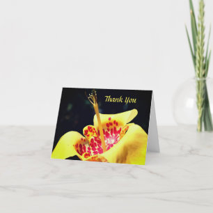 Yellow Spotted Lily Flower Thank You Card