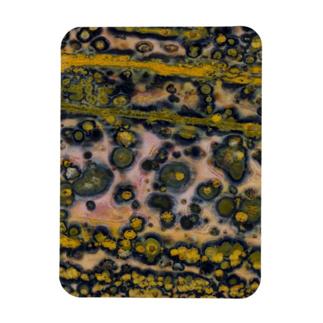 Yellow spotted Ocean Jasper Magnet (Vertical)