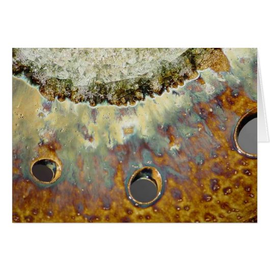 Yellow Spring (Front Horizontal)