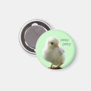 Yellow Spring Chick Button Magnet