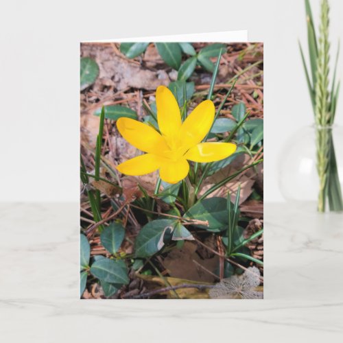 Yellow Spring Crocus Thinking of You Card