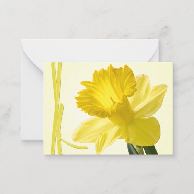 Yellow Spring Daffodil Close-up Floral Photography Note Card (Front)