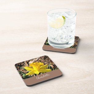 Yellow Spring Daffodil in the Garden Custom Name Beverage Coaster