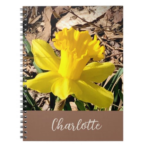 Yellow Spring Daffodil in the Garden Custom Name Notebook