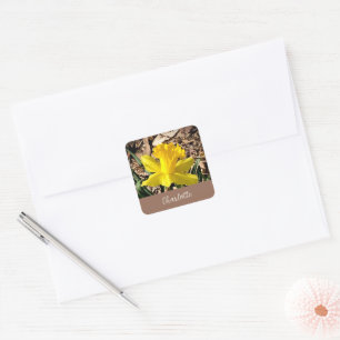 Yellow Spring Daffodil in the Garden Custom Name Square Sticker