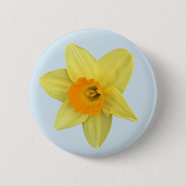 Yellow Spring Daffodil on Pale Blue Pinback Button (Front)