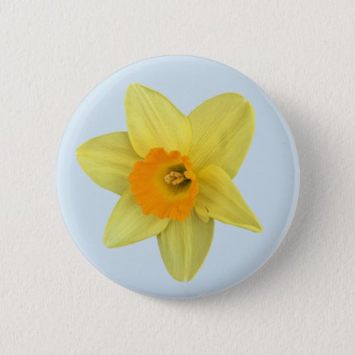 Yellow Spring Daffodil on Pale Blue Pinback Button