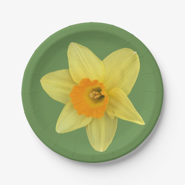 Yellow Spring Daffodil Paper Plates (Front)