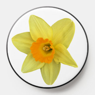 Yellow Spring Daffodil PopSocket