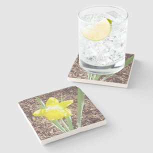 Yellow Spring Daffodil Stone Coaster