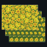 Yellow Spring Daffodil - Wedding Wrapping Paper Sheets<br><div class="desc">A bright and cheerful floral pattern depicting the daffodil, a classic spring flower associated with rebirth and new beginnings. The perfect theme for a spring wedding consisting of yellow daffodils in full bloom arranged on a garden green background. Text is in a script style, golden yellow in color and is...</div>