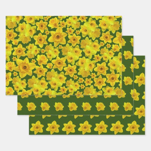 Yellow Spring Daffodil _ Wedding Wrapping Paper Sheets