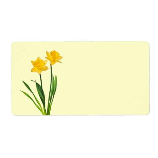 Yellow Spring Daffodils - Daffodil Template Label | Zazzle