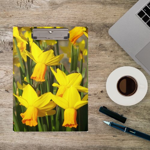 Yellow Spring Daffodils Floral Clipboard