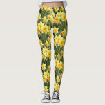 Yellow Spring Daffodils Leggings<br><div class="desc">These chic leggings feature a lovely photo of yellow spring daffodils in full bloom.  Perfect addition to your spring wardrobe! Designed by world renowned artist ©Tim Coffey.</div>