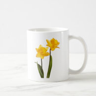 Yellow Spring Daffodils on White Coffee Mug