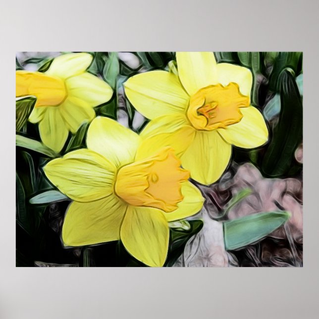 Yellow Spring Daffodils Poster (Front)