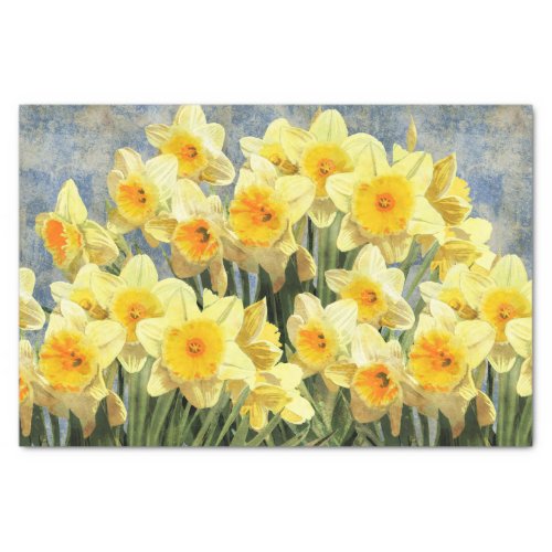 Yellow Spring Daffodils Rustic Tissue Paper