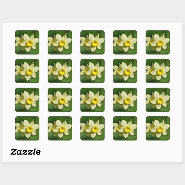 Yellow Spring Daffodils  Square Sticker (Sheet)