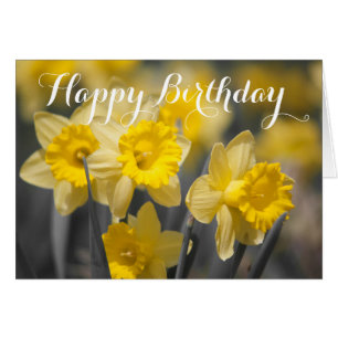 Yellow Spring Flowers Daffodil Greeting Card