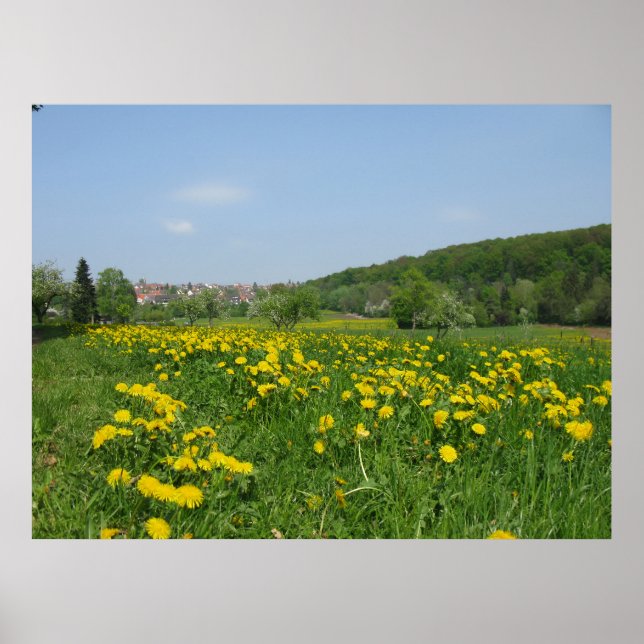 Yellow spring flowers in a green meadow  poster (Front)