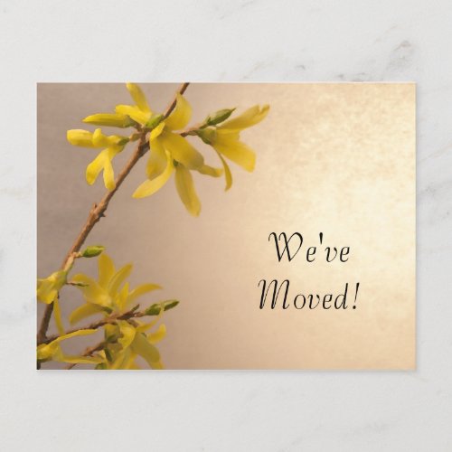Yellow Spring Forsythia Change of Address Announcement Postcard
