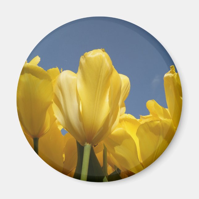 yellow spring magnet (Front)