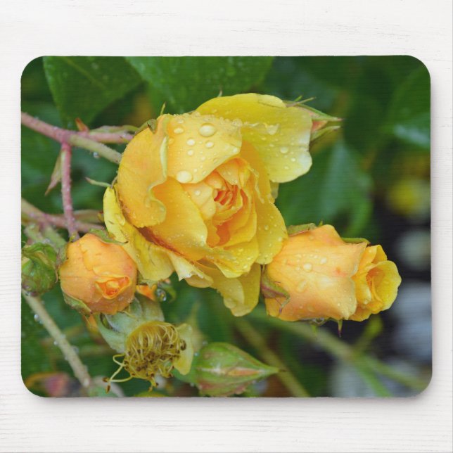 Yellow spring roses print mousepad (Front)