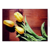 Yellow Spring Tulips (Front Horizontal)