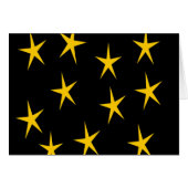 YELLOW STARS (Front Horizontal)