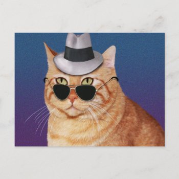 Yellow Striped Cat With Sunglasses And Hat Postcard by AutumnRoseMDS at Zazzle