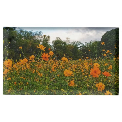 Yellow Sulfur Cosmos Flower Place Card Holder
