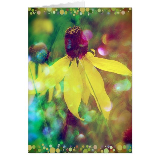 Yellow Summer Wildflower Cards (Front)