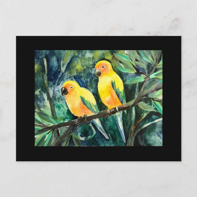 Yellow sun conures,bird friends holiday postcard (Front)