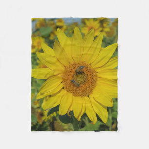 yellow sun flower summer blossom fleece blanket
