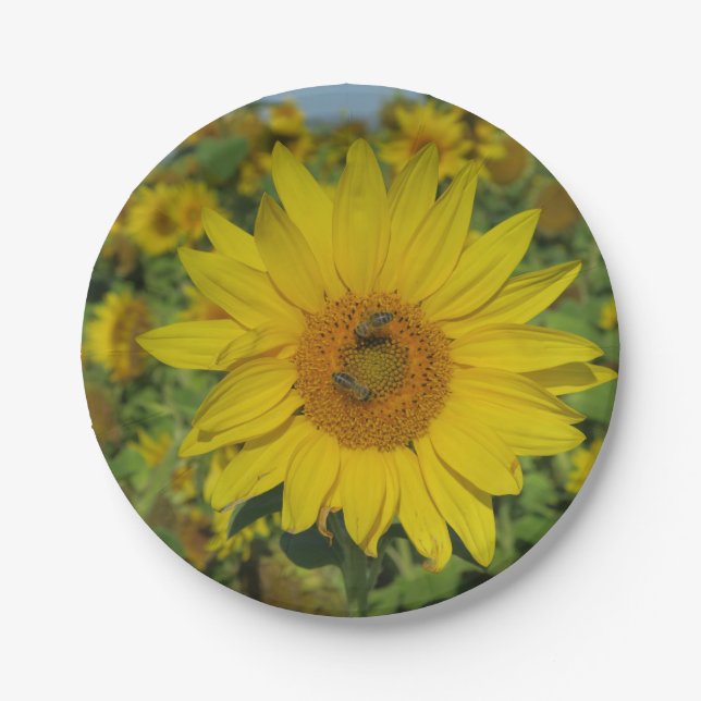 yellow sund flower blossom paper plates (Front)