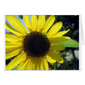 Yellow Sunflower (Front Horizontal)