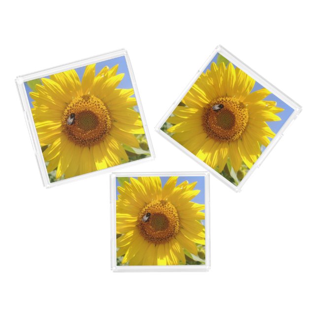 Yellow Sunflower Acrylic Tray (Set)