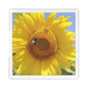 Yellow Sunflower Acrylic Tray